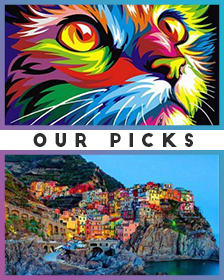 Our Picks