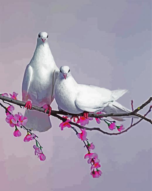 Pigeons On a Blossom Branch Paint By Numbers