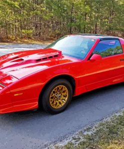 Red Firebird Car Paint By Numbers