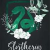 Slytherin of Hogwarts School Paint By Number