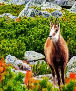 Tatra Chamois paint by number