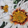 White Gazania Flower Paint By Numbers