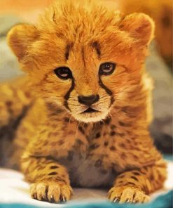 Adorable Cheetah paint by number