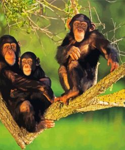 Chimpanzee Famiily paint by number