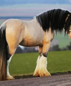 Clydesdale paint by number