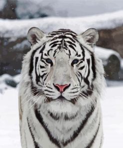 The White Tiger Paint By Numbers