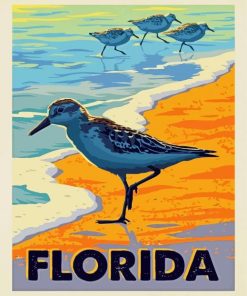 Florida Sea Birds - Paint By Number