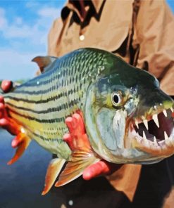 African Tigerfish paint by number