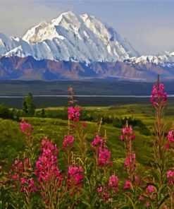 Alaska Denali Mountain paint by number