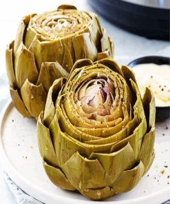 Artichokes paint by number