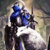 Artorias And The White Wolf paint by number