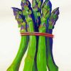 Asparagus Art paint by number