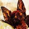 Australian Kelpie Dog Art paint by number