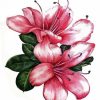 Azaleas Flowers Art paint by number