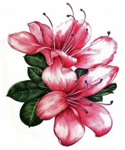 Azaleas Flowers Art paint by number