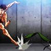 Baki The Grappler Fighting Mantis paint by number