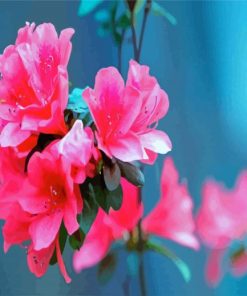 Beautiful Pink Azaleas paint by number