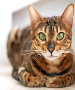 Bengal Cat With Green Eyes paint by number