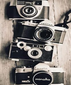 Black And White Cameras paint by number