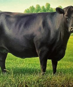 Black Angus Cattle paint by number