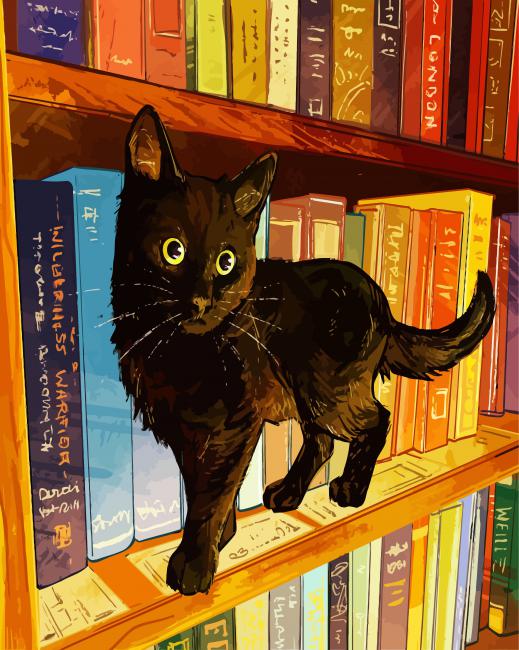 Black Cat In A Bookshelf paint by number