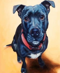 Black Staffordshire Bull Terrier paint by number