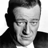 Black And White John Waynepaint by numbers