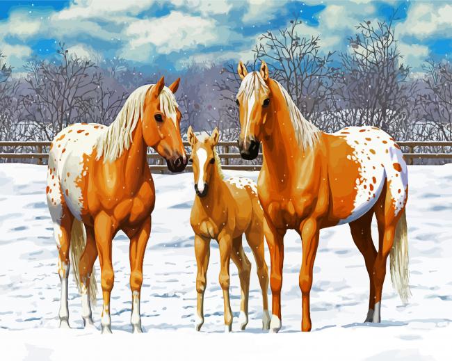 Blonde Appaloosa Horses paint by number