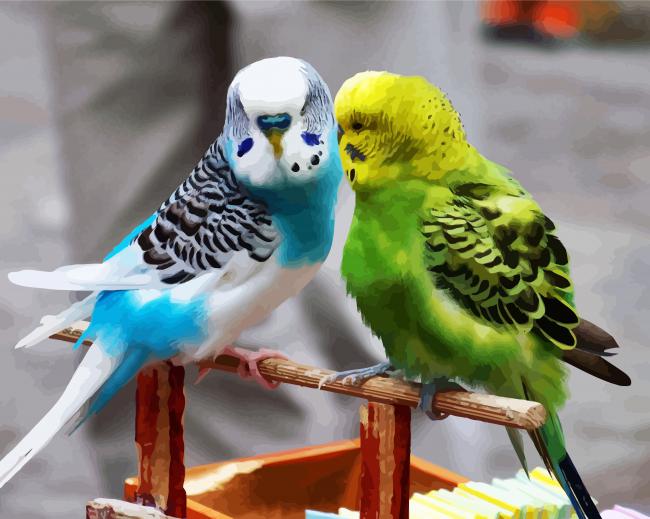 Blue And Green Parakeet Budgerigars paint by numbers