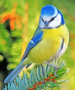 Blue Tit Bird paint by numbers