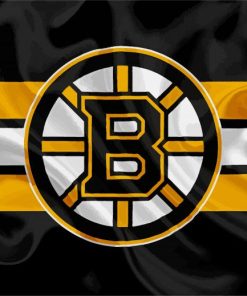 Boston Bruins Hockey Logo paint by numbers