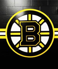 Boston Bruins Logo paint by numbers