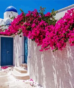 Bougainvillea Flowers paint by numbers