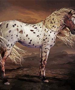 Brown Appaloosa Horse Art paint by numbers