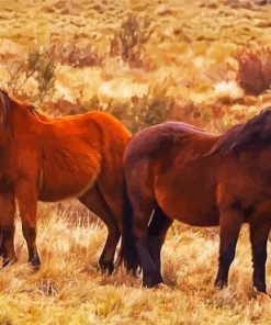 Brumy Horses Herd paint by numbers