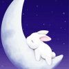 Bunny On Moon paint by number