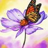 Butterfly On Cosmos paint by number