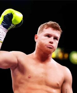 Canelo Alvarez Sports paint by numbers