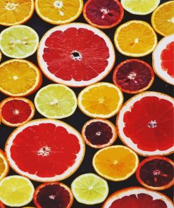 Citrus Fruits paint by number