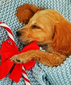 Cocker Spaniel Puppy Sleeping paint by numbers