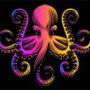 Colroful Octopus Art paint by numbers