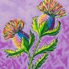 Colorful Thistles Flowers paint by numbers