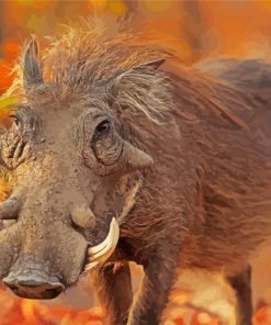 Animal Common Warthog paint by numbers