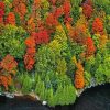 England Fall Foliage paint by number