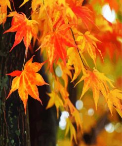 Fall Foliage leaves paint by number