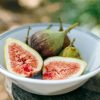 Figs Bowl Food paint by numbers