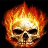 Fire Skull Head paint by number