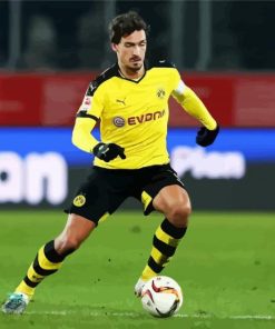 Footballer Mats Hummels Player paint by numbers