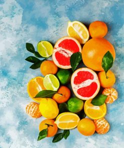 Fresh Citrus Fruits art paint by number