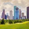 Houston City paint by number